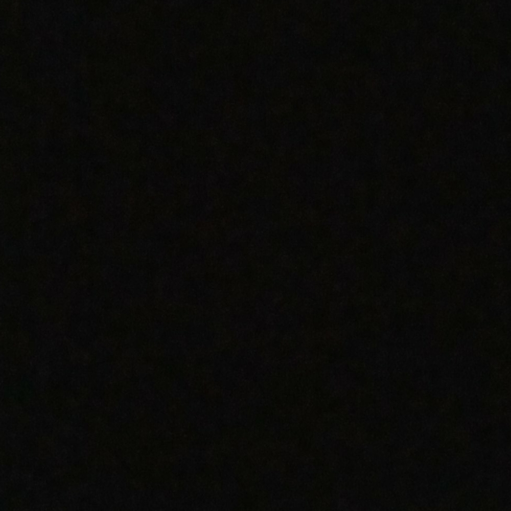 Meet your Posher, Katey